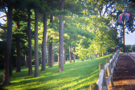 Book Store «UNO Bookstore», reviews and photos, 6001 Dodge St, Omaha, NE 68182, USA