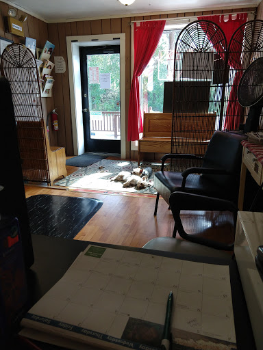 Hair Salon «Hair On Main St», reviews and photos, 3605 Main St, Morgantown, PA 19543, USA