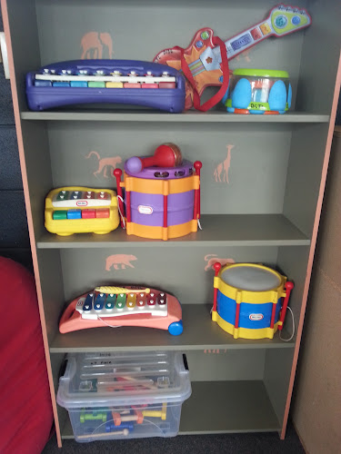 Dannevirke Community Toy Library - Library