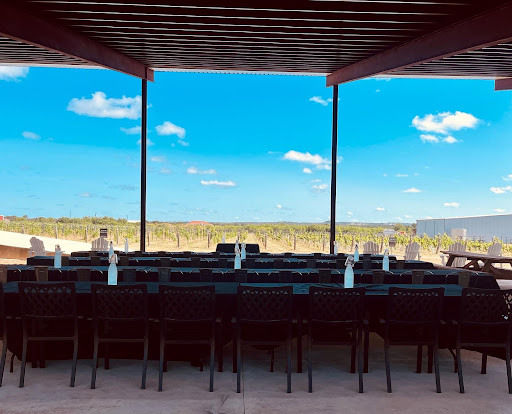 Winery «Hilmy Cellars - Vineyards, Winery & Tasting Room», reviews and photos, 12346 US-290, Fredericksburg, TX 78624, USA