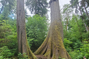 Richard Fenscak Cathedral Tree Trail Trailhead