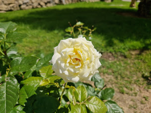 Photo n°17 de Institution des Invalides de la Légion Etrangère à Puyloubier ()