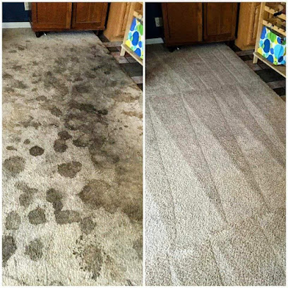 Pro-Clean Carpet & Upholstery Cleaning