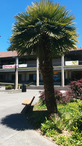Book Store «Humboldt State University Bookstore», reviews and photos, 1 E Laurel Dr, Arcata, CA 95521, USA