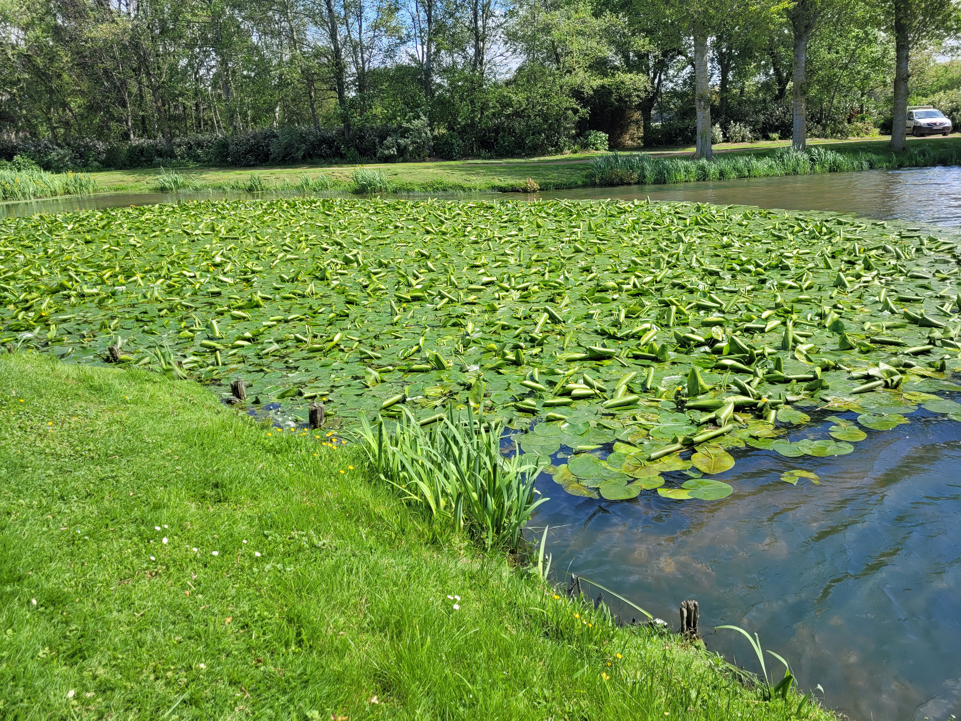 Photo n° 7 de l'avis de Philippe.e fait le 17/05/2023 à 14:37