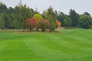 Fullerö Golf Club image