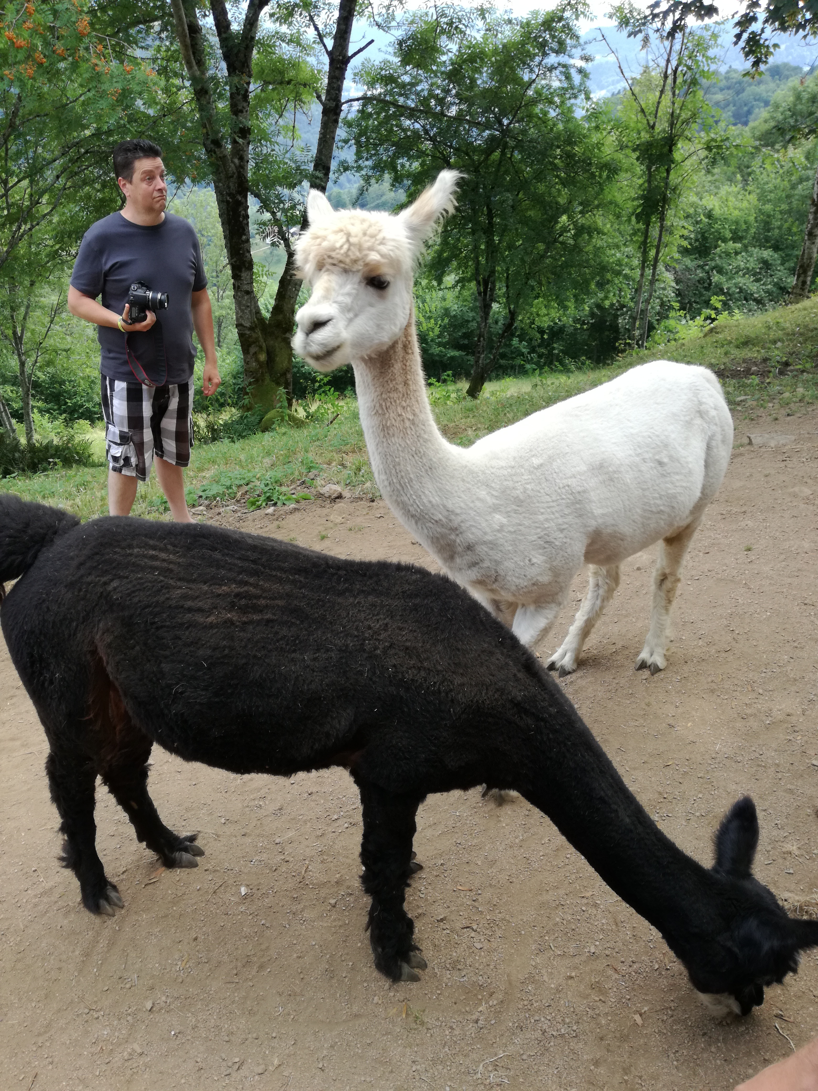 Photo n° 4 de l'avis de Maxime.r fait le 25/07/2018 à 08:11
