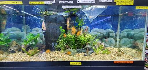 Pet Store «Jules Pet Shop», reviews and photos, 2214 N Milwaukee Ave, Chicago, IL 60647, USA