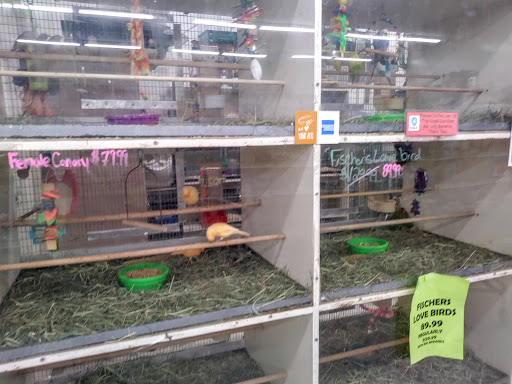 Pet Supply Store «Blackwinds Pet Supplies», reviews and photos, 2494 Military Rd, Niagara Falls, NY 14304, USA