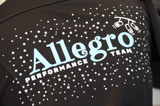 Music School «Allegro Music and Dance Academy», reviews and photos, 315 Canal St, Lemont, IL 60439, USA
