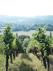 Weingut Riehen AG