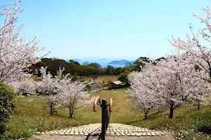 Mt.Ushiro Park in Setonaikai National Park. image