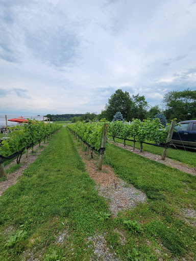 Winery «Beneduce Vineyards», reviews and photos, 1 Jeremiah Ln, Pittstown, NJ 08867, USA