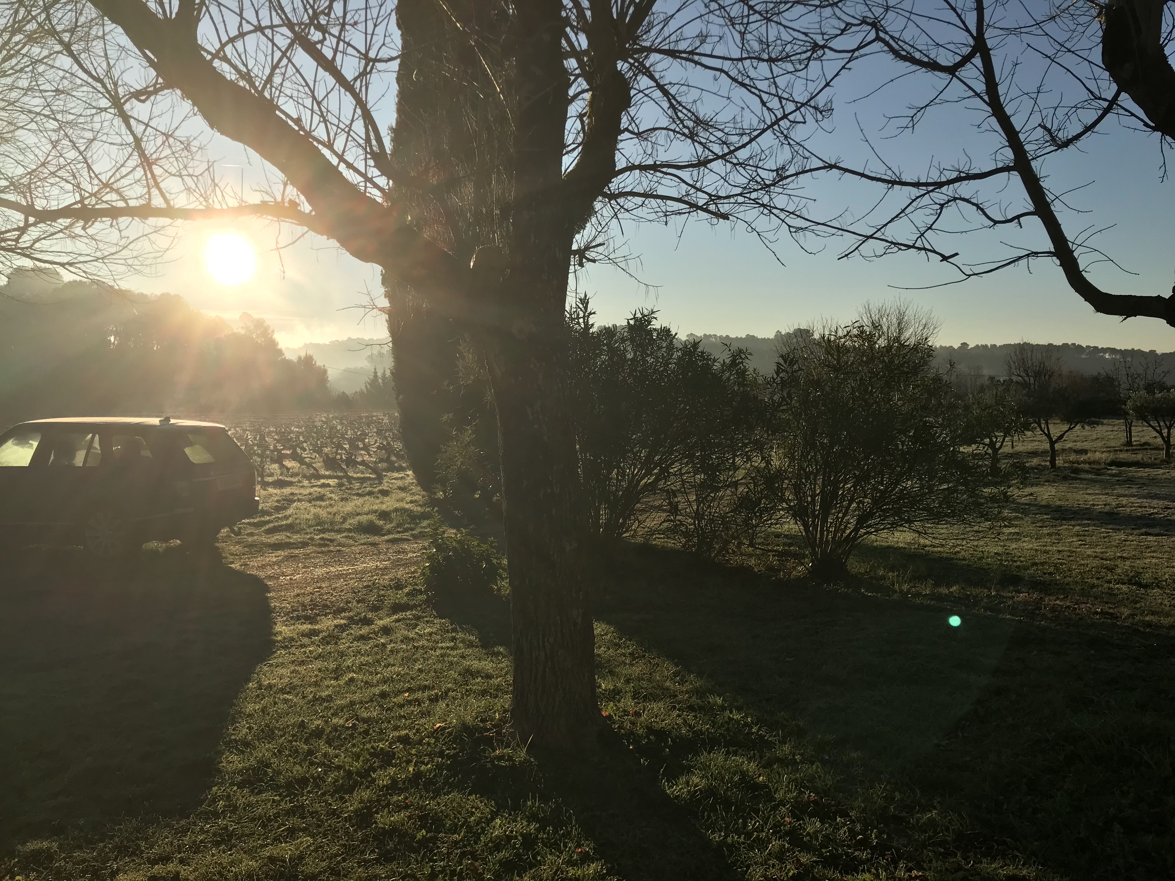 Photo n° 3 de l'avis de C.m fait le 14/01/2020 à 18:14
