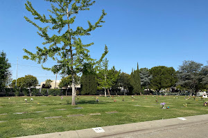 Cedar Lawn Cemetery