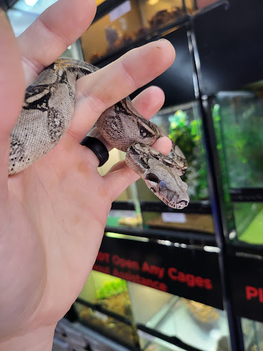 Pet Store «Emerald Bay Fish & Reptile», reviews and photos, 3810 Old Hickory Blvd, Old Hickory, TN 37138, USA