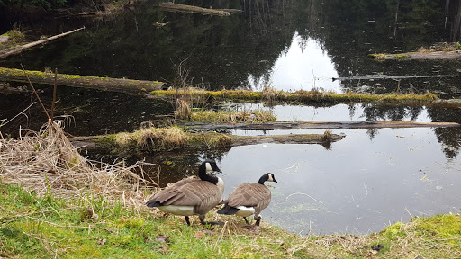 Nature Preserve «Redmond Watershed Preserve», reviews and photos, 21760 NE Novelty Hill Rd, Redmond, WA 98053, USA