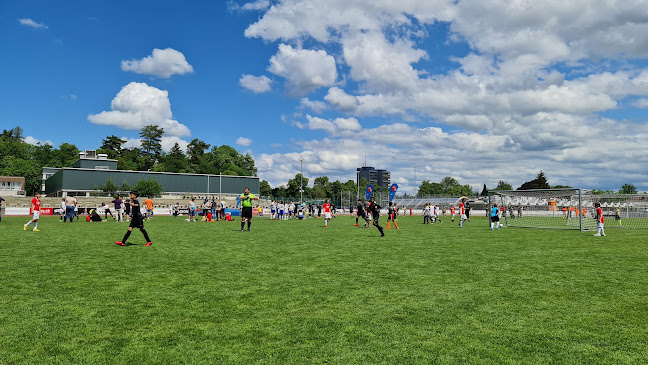 Stadion Neufeld