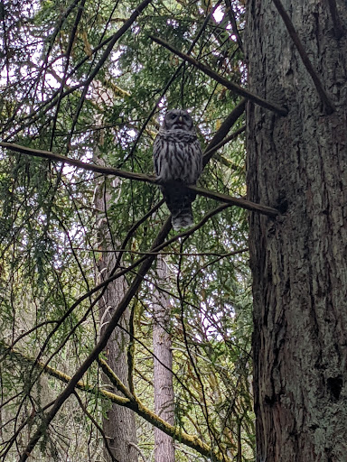 Park «Cowen Park», reviews and photos, 5849 15th Ave NE, Seattle, WA 98105, USA