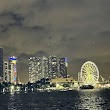 Miami Party Boats