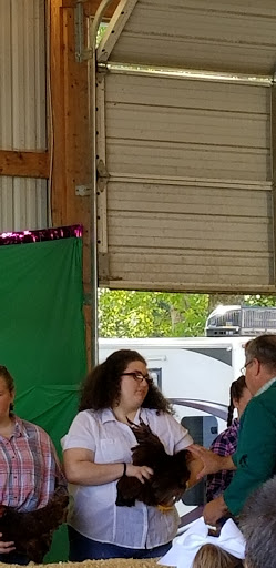 Tourist Attraction «Clinton County Fairgrounds», reviews and photos, 958 W Main St, Wilmington, OH 45177, USA