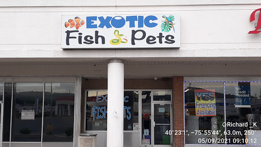 Pet Store «Exotic Fish & Pets», reviews and photos, 3272 N 5th Street Hwy, Reading, PA 19605, USA