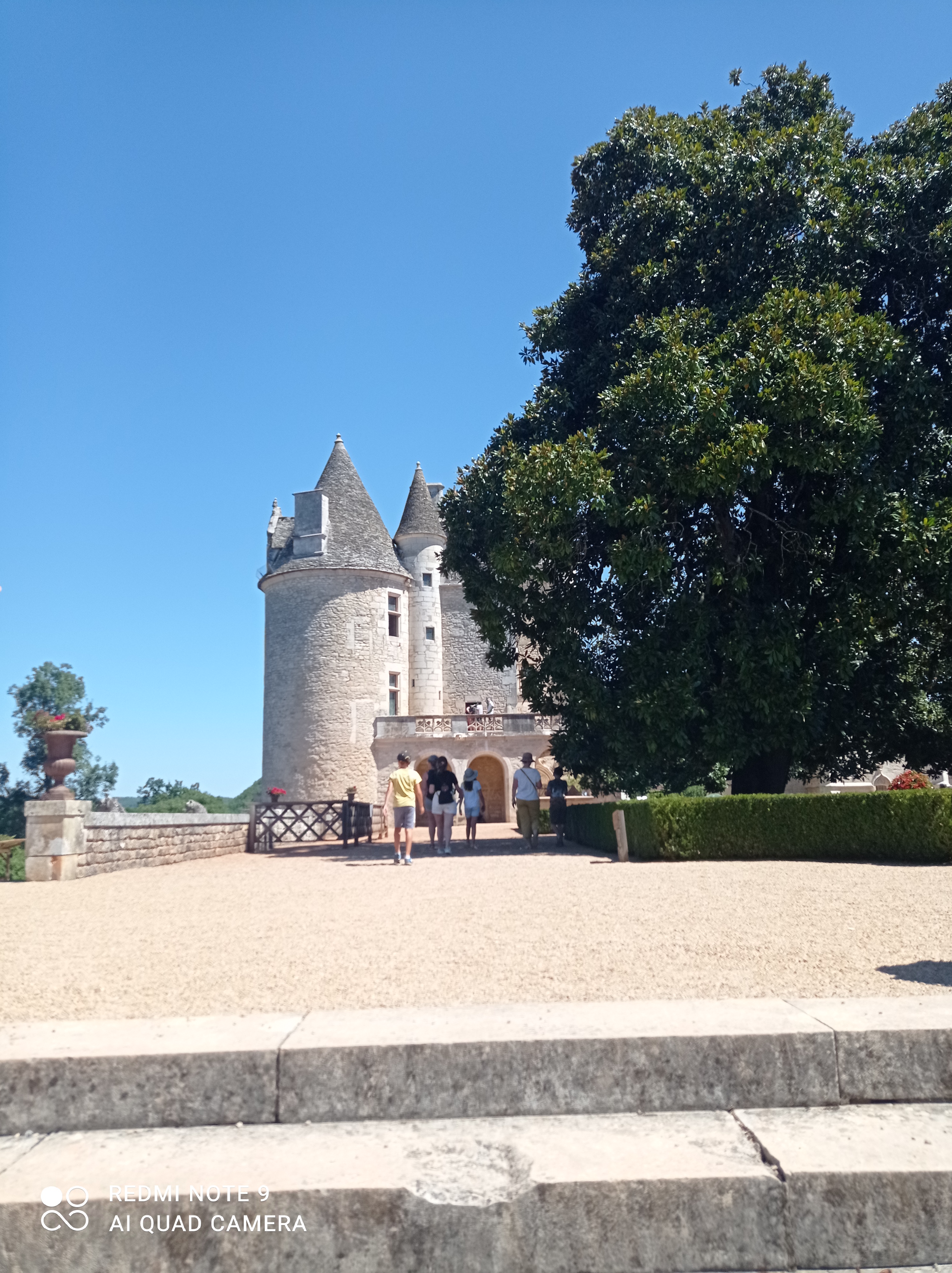 Photo n° 5 de l'avis de JOUVANCE.N fait le 07/08/2022 à 14:58