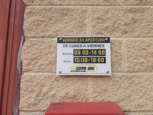 GREMISAT en Guadalajara, Guadalajara