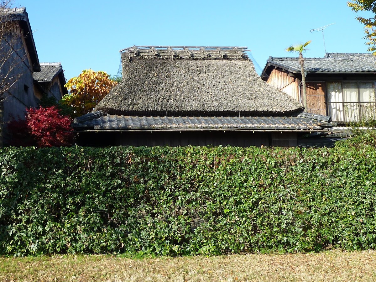 Hiroshi Kyoto在 Google 上對「頼山陽書斎山紫水明處」做的評論