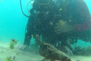 Caju Divers Padi image