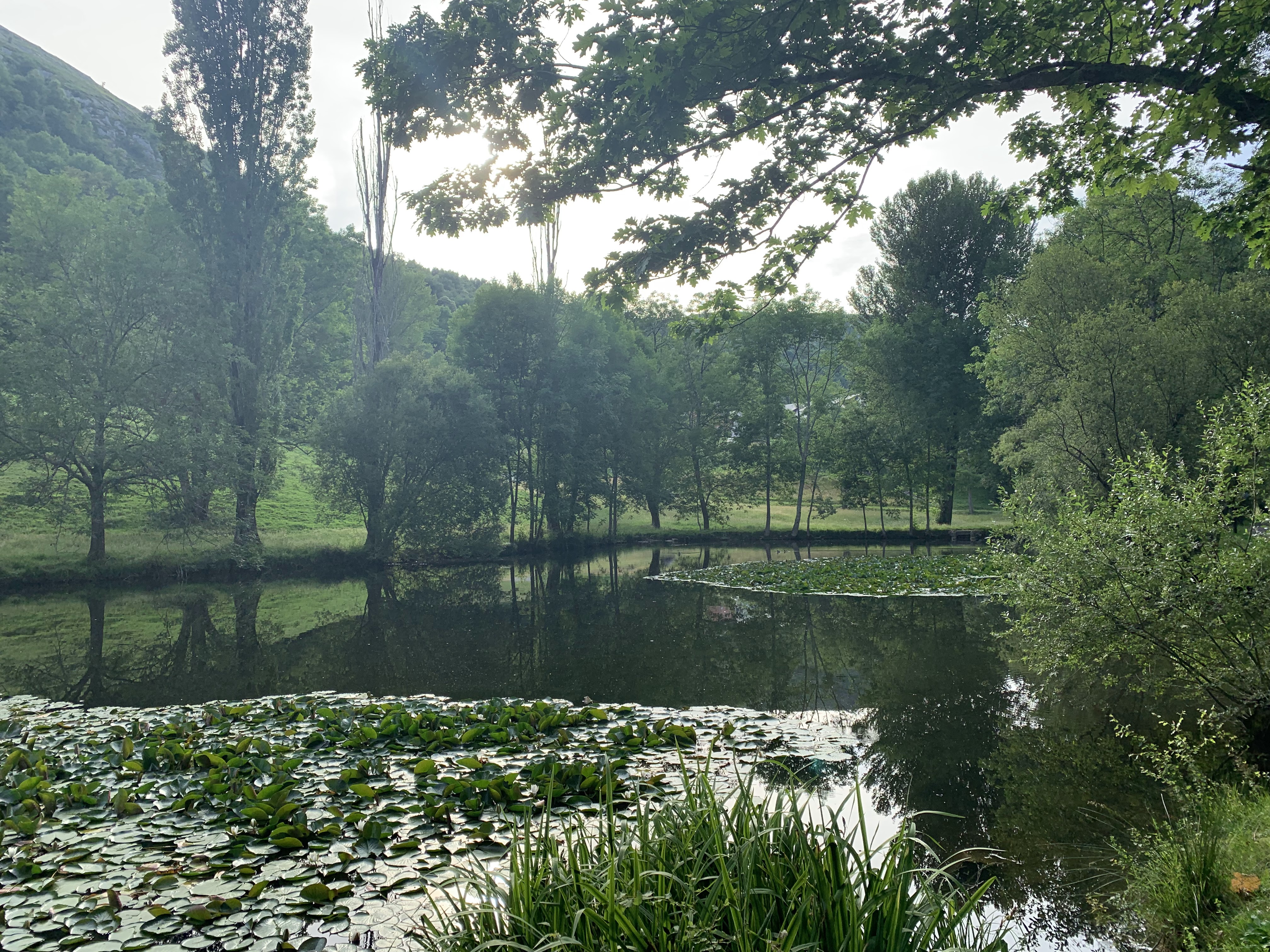 Photo n° 22 de l'avis de Alina.o fait le 11/07/2019 à 00:46