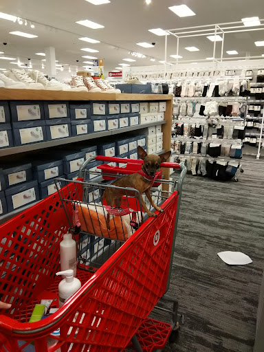 Shopping Mall «Galleria at Crystal Run», reviews and photos, 1 Galleria Dr, Middletown, NY 10941, USA