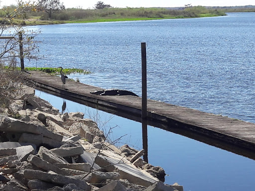 Tourist Attraction «Twister Airboat Rides», reviews and photos, 8199 W King St, Cocoa, FL 32926, USA