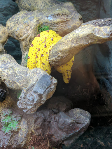 Pet Supply Store «Petco Animal Supplies», reviews and photos, 45205 Worth Ave, California, MD 20619, USA