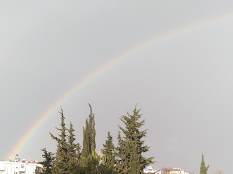 Yurt-Yap Emlak Bilgi Bankasi