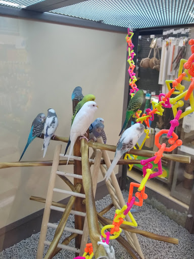 Pet Supply Store «Petco Animal Supplies», reviews and photos, 106 N Denton Tap Rd #310, Coppell, TX 75019, USA