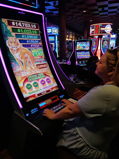 Hotel «Ameristar Casino Hotel East Chicago», reviews and photos, 777 Aldis Ave, East Chicago, IN 46312, USA