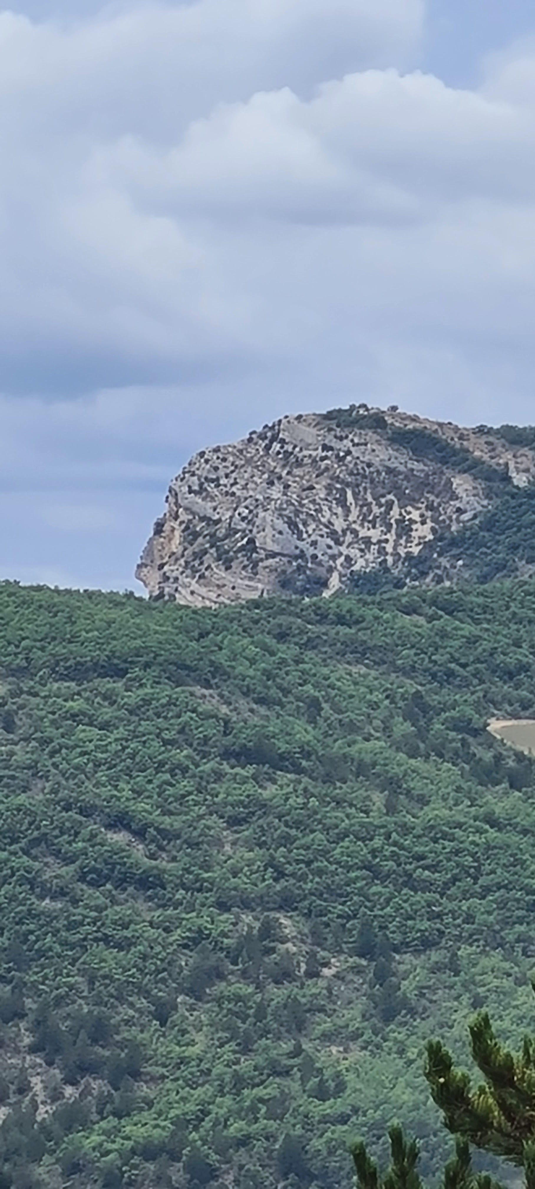 Photo n° 15 de l'avis de Fabien.a fait le 25/07/2023 à 19:28