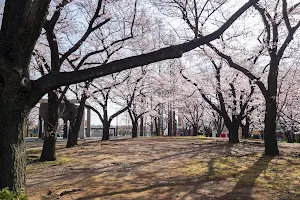 Kamishiba Central Park image