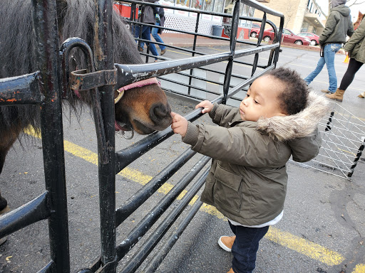 Day Care Center «Mosaic Early Childhood Center», reviews and photos, 4023 Dempster St, Skokie, IL 60076, USA