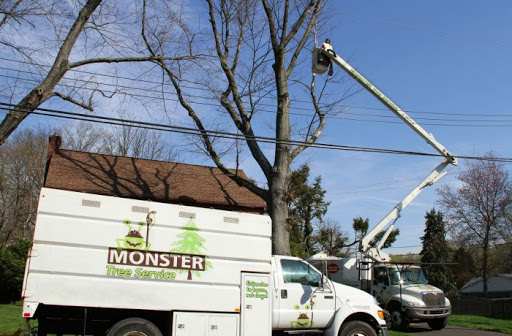 Monster Tree Service of Hartford