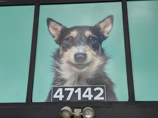 Pet Supply Store «PetSmart», reviews and photos, 47142 Michigan Ave, Canton, MI 48188, USA