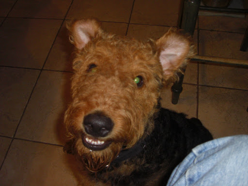 Insurance Agency «Allstate Insurance Agent: Elise Stansel», reviews and photos