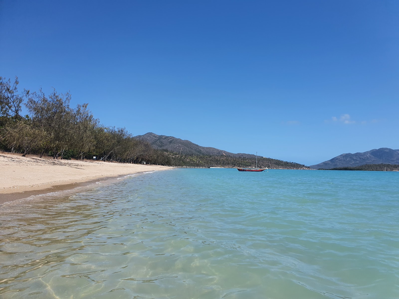 Dingo Beach的照片 具有非常干净级别的清洁度