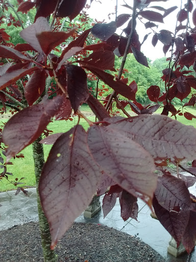 Insurance Agency «American Modern Insurance Group Inc», reviews and photos