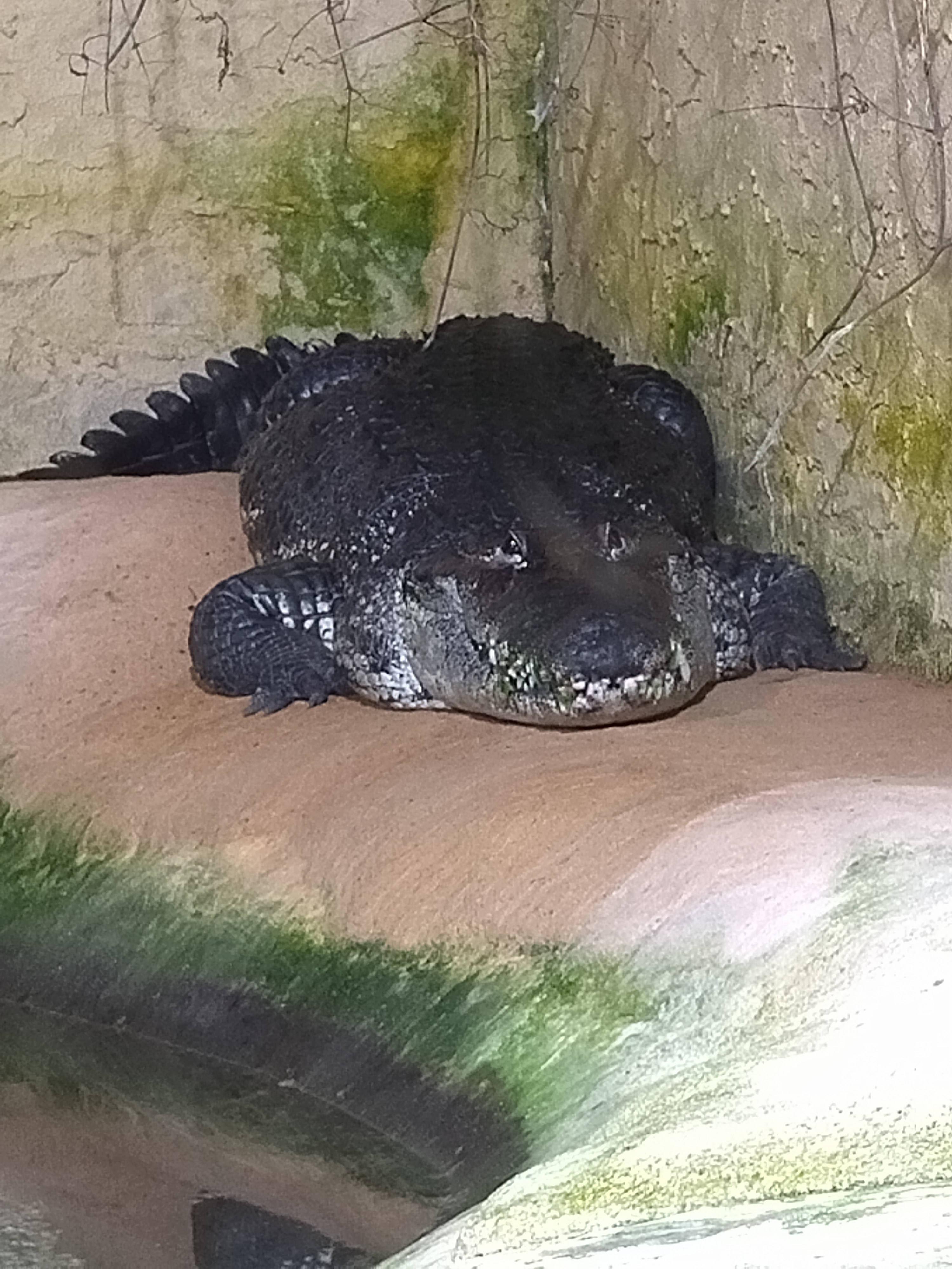 Photo n° 1 de l'avis de Miss.i fait le 24/07/2022 à 14:27