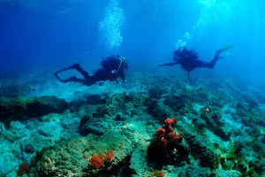 Bolonia diving centre image