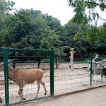 Photo n°8 de l'avis de Astrid.o fait le 08/08/2023 à 06:04 sur le  Café im Tierpark à Gettorf