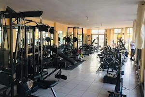 The Great Gym image
