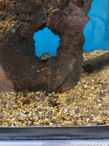 Pet Supply Store «Petco Animal Supplies», reviews and photos, 3853 E Main St, St Charles, IL 60174, USA